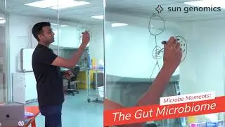 What is the Microbiome? | Sun Genomics