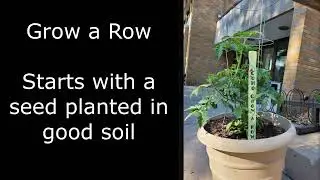 Hunger Ministries Initiative Video 07.23.2023