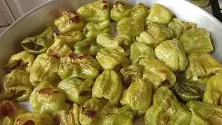Bah&ccedil;eden topladığımız sebzeleri dondurucuya nasıl koyuyoruz? Dolma biber, bamya, patlıcan, kabak... 