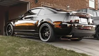 2003 Mustang Svt Cobra Review/Ride along