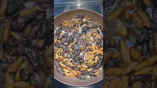 DIP FRIED WORM AND INSECTS #trending #food #foodnerd #streetfood