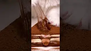 🐈🐾The cat&rsquo;s paw is squishing the tiramisu-shaped slime #ai #asmr #slime #cat #slimeasmr