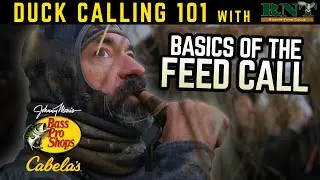 Basics of the Feed Call