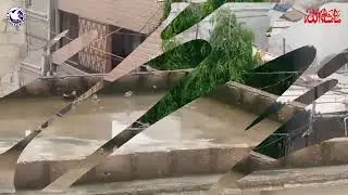 Beautiful Birds Fun in Rain | @akaviary