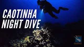 Caotinha Night Dive