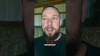 You Need to Get Off Your Homestead!