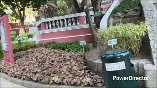 joy mui jalan jalan 
