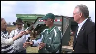 Record-breaking soybeans