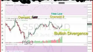 TFEX Bullish Trend. M19 Bullish Divergence. Roll Over to Series M19  +9,000 Con. EP.117