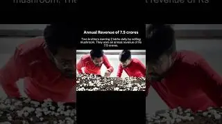 Rishabh Gupta an engineer and his brother Ayush started a mushroom farming earning Rs 2 lakhs daily