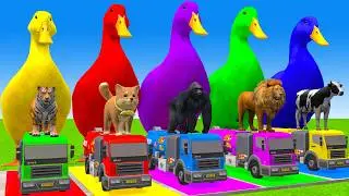 5 Giant Duck Cartoon,Cow,Elephant,T-Rex,Tiger,Lion, Paint Wild Animals Crossing Fountain Animation