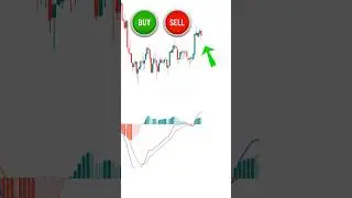 Fake Breakout? This MACD Signal Exposes the Trap | Stock Market!