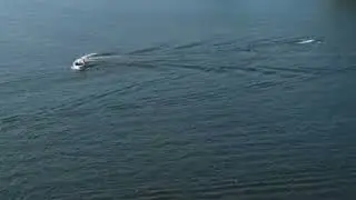 Action at Hatzic Lake