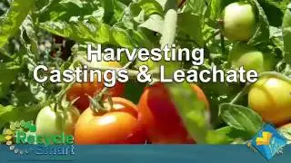 Harvesting Castings & Leachate - RecycleSmart with UC Master Gardeners of Contra Costa