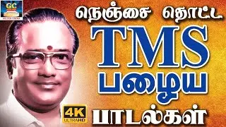 நெஞ்சை தொட்ட TMS பழைய பாடல்கள் | Evergreen Superhit Tamil Songs | Kannadhasan | Vaali | 4K