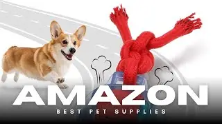 Rechargeable Dog Ball Toy 🐕⚡ | High-Speed Interactive Play for Puppies!