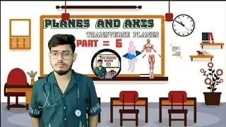 TRANSVERSE PLANE #medico #medicalstudent #medicallecture #mbbs #bpt #thesthethobyss