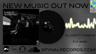 12 Diligent Fingers - Fly Away - War In Peace LP