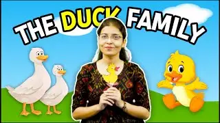 The Duck Family A lovely Short Story for Preschoolers | Katyayan School