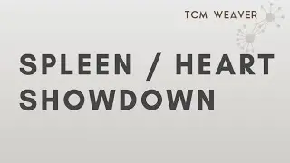 Spleen + Heart Showdown:  Gui Pi Tang vs. Ren Shen Yang Rong Tang