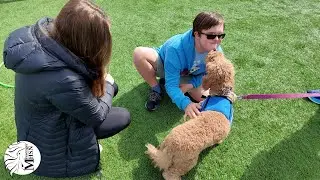 Duo Dogs Visit Special Olympics
