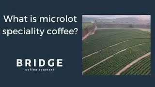 What is microlot speciality coffee?