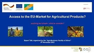 Access to the EU-Market for Agricultural Products? Anything but simple - what to consider?