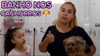 CUIDANDO DOS PETS !!! 🐶
