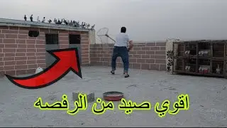 اقوي صيد راح تشوفو صيد ذباني بواز طاره من الرفصه صادو