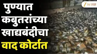 Pune Kabutar Khana | पुण्यात कबुतरांच्या खाद्यबंदीचा वाद कोर्टात, 20 ठिकाणी कबुतरांना खाद्यबंदी