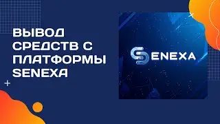 Senexa. Моментальный вывод дивидендов с платформы без комиссии!