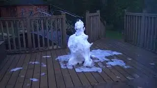 The Rise of the Snowdawg