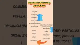 how to remember organization hierarchy in 15 sec neet 2022