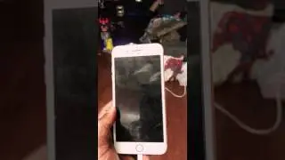 iPhone 7 Plus is not waterproof