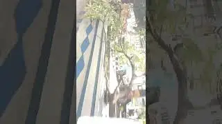 kolkata waque out bill protect CIT road