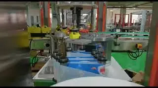Rotary OPP hot melt film label type labeling machine sticker