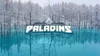 Jogando Paladins so jogo sozinho