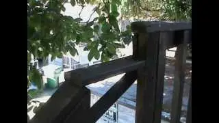 Fire Escape Inspection Load Test Certifications Seattle WA 866-649-0333 FireEscapeEngineers.com