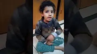 #short tari wala murga