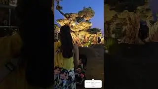 Best Nature Reserve in Dubai!