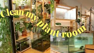 PLANT ROOM MAKEOVER!☀️🌿 updates & rearranging