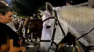 Our Backyard Series, Ep 4-The Shops at Wiregrass Christmas Tree, Wesley Chapel, Florida