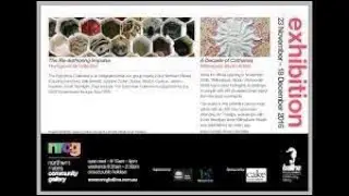 Artist Julianne Zoviar Clunne speaks about the EPICORMIA COLLECTIVE artist-run initiative [ARI]  .