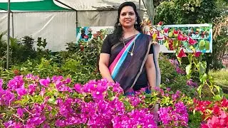 സാമൂഹ്യജീവി is live