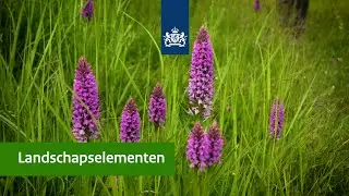 Landschapselementen | Op bezoek in de Ooijpolder