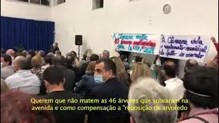 Protesto contra o abate de 80 &aacute;rvores em Algueir&atilde;o Mem Martins