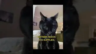 IM BATMAN 👹👹👹