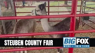 Steuben County Fair Draws Crowds Amid Storm Recovery Efforts