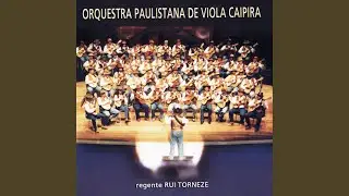 Pout-Pourri de Introdu&ccedil;&otilde;es de Pagode de Viola II: Nove e Nove / Navalha na Carne / Com Deus na...