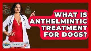What Is Anthelmintic Treatment For Dogs? - Ask A Pet Vet